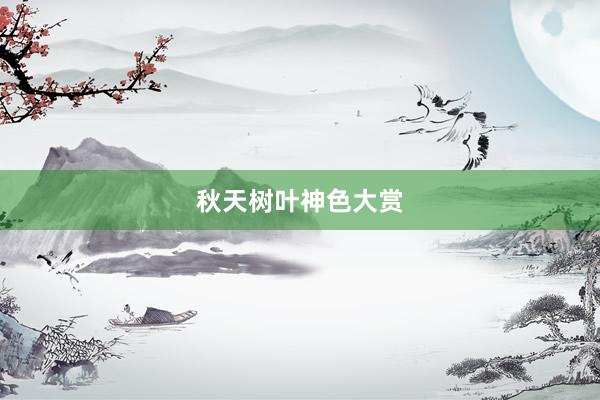秋天树叶神色大赏