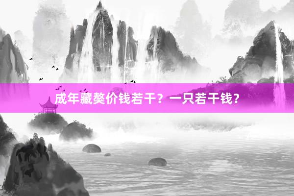 成年藏獒价钱若干?一只若干钱?